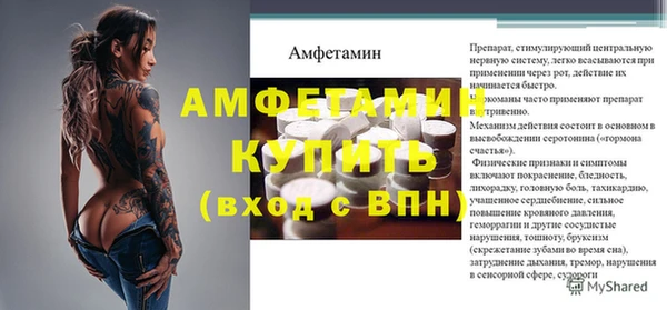 шишки Мегион
