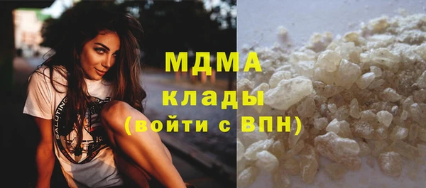 шишки Мегион