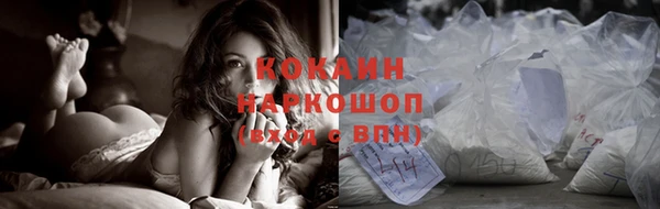 шишки Мегион