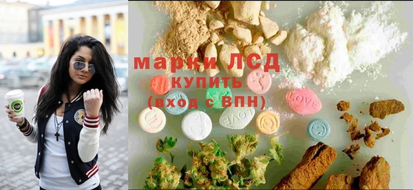 шишки Мегион