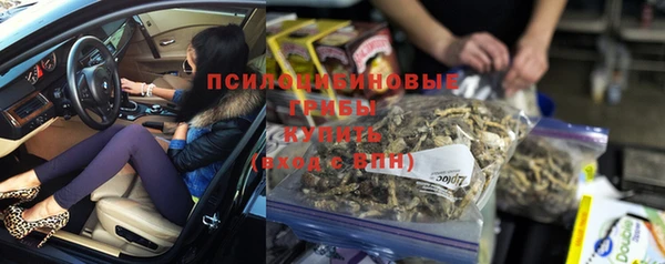 прущий лед Михайлов