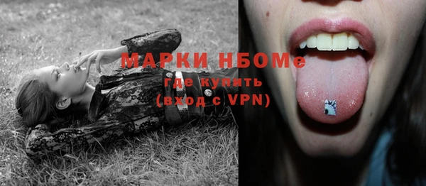 шишки Мегион