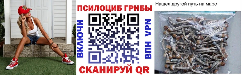Купить где  Сольвычегодск  Галлюциногенные грибы MAGIC MUSHROOMS 